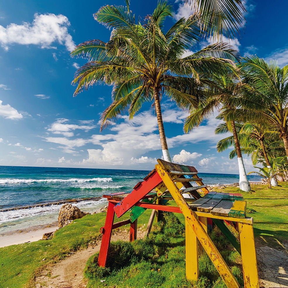 004-002-palm-tree-beach-against-blue-sky.jpg
