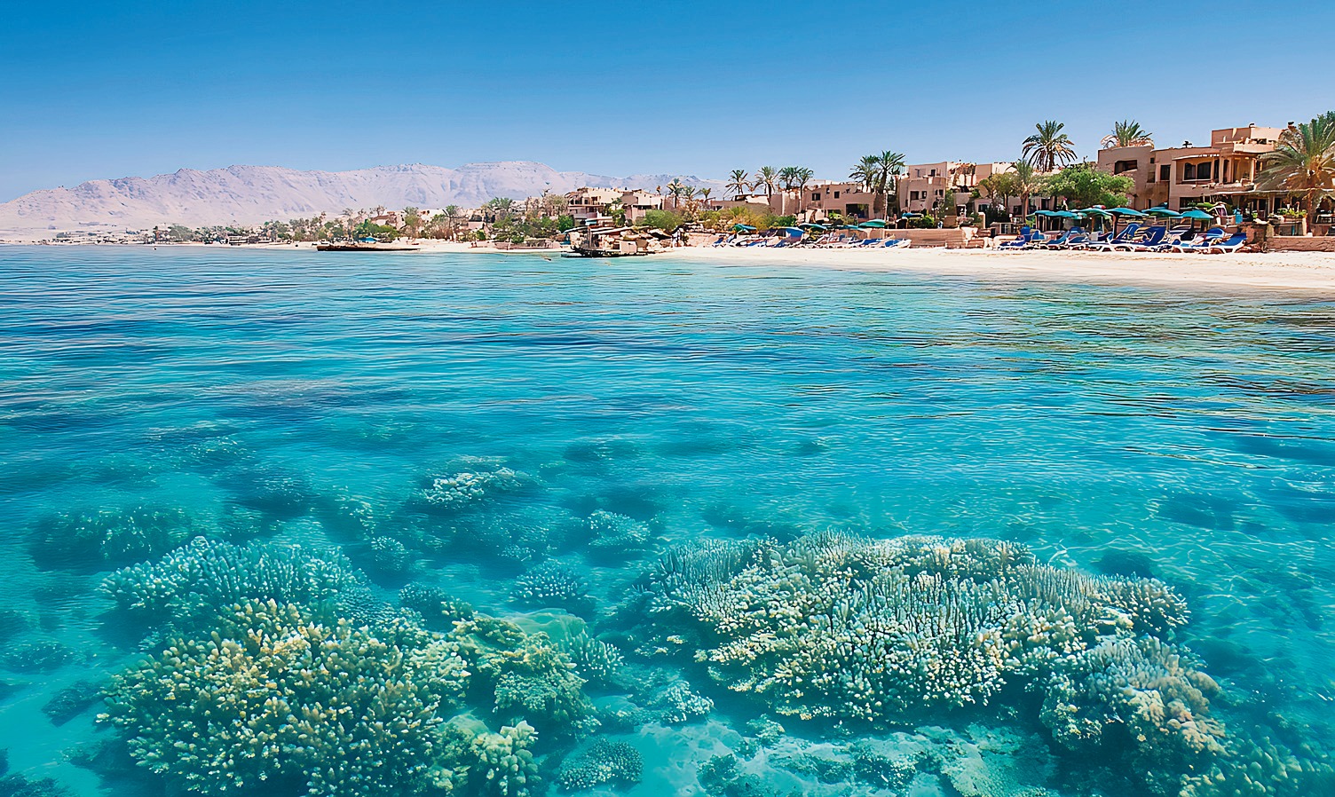 004-001-exploring-vibrant-underwater-life-while-snorkeling-h.jpg