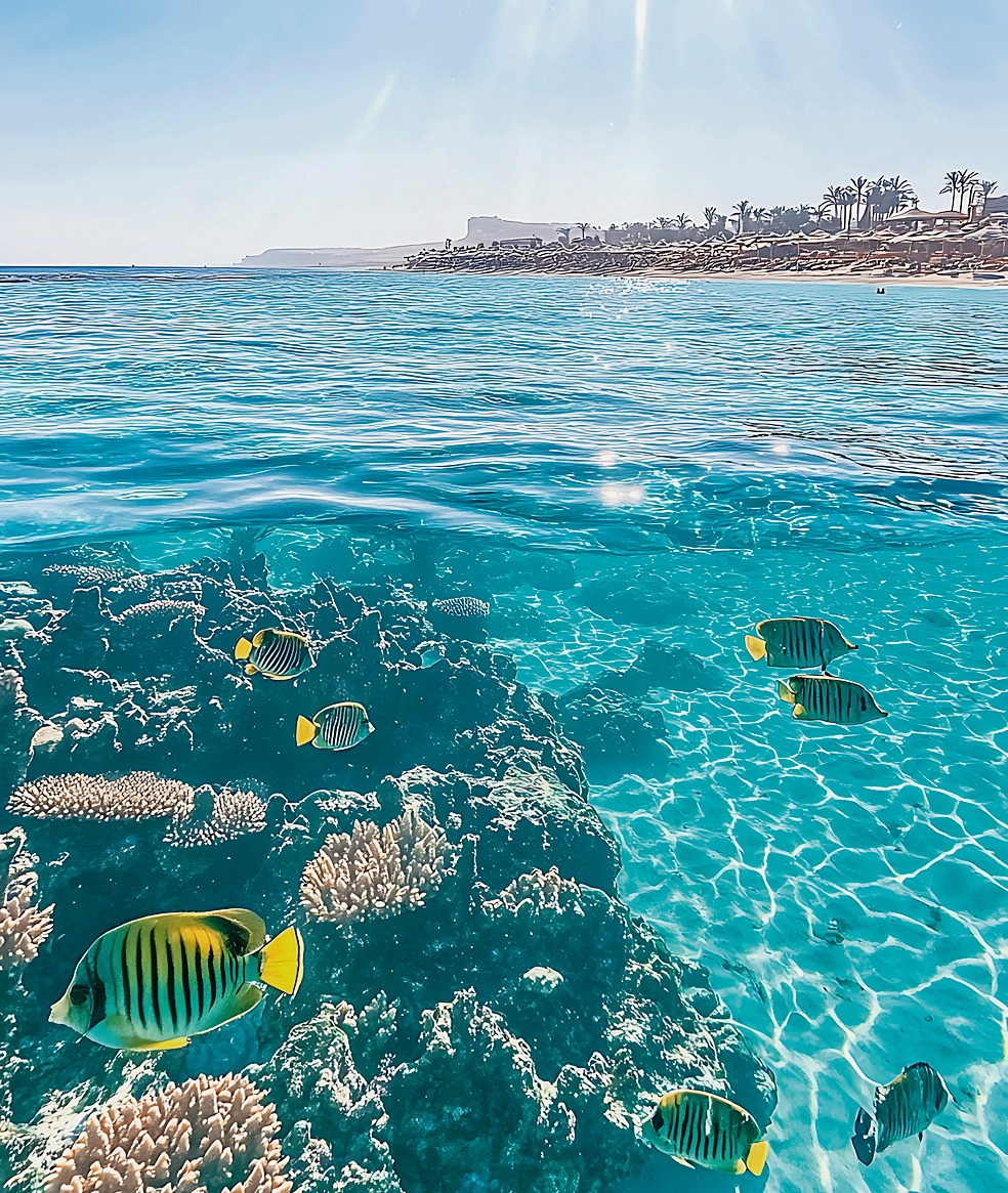 005-002-exploring-vibrant-underwater-life-while-snorkeling-h.jpg